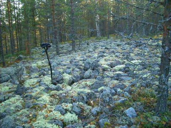 Temmeksestä n. 16,8 km itään ja Muhokselta etelään vievän tien 8250 länsipuolella (Hulkkolan tasalla) n.