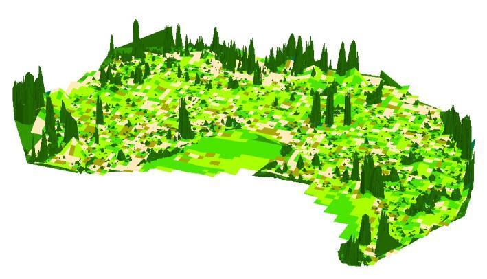 Kuva 33. DEM ja TIN mallinnus päällekkäin kuvioilla 201 ja 202, ArcScene. 6.7 Lohko 7 taimikkokuvio 226 Kuvio 226 on yhdistetty yhdeksi isommaksi kuvioksi uusimmassa metsätaloussuunnitelmassa.