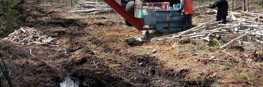 Yritystä hoitaa pariskunta, ja molemmat tekevät työtä pilketuotannossa. Tässä vaiheessa ajattelin, että suunnittelemani ajatus pilkeyrittäjyydestä, jossa nainen olisi mukana, tulisi toteutumaan.