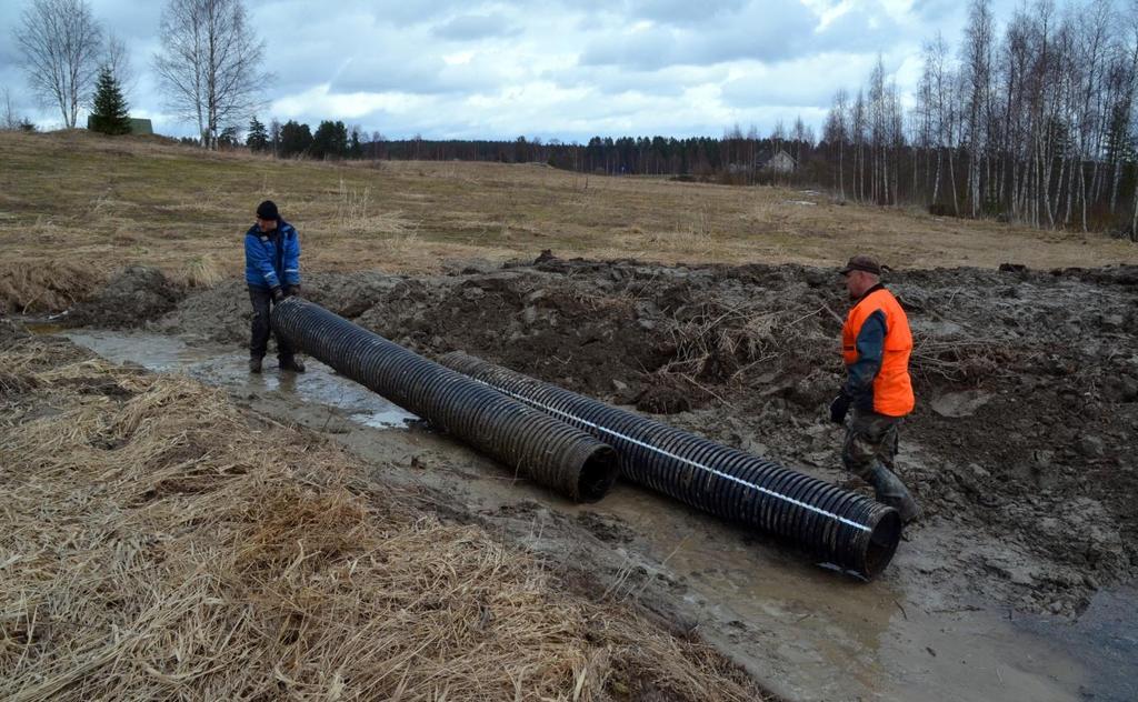Eteläisen kosteikon saarekkeeseen jäi yksi liian jyrkkä reuna, joka saattaa