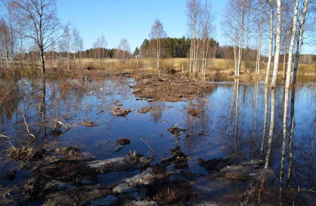 33 Kuva 16. Vuoden 2012 kevättulva nosti vedenpinnan poikkeuksellisen korkealle.