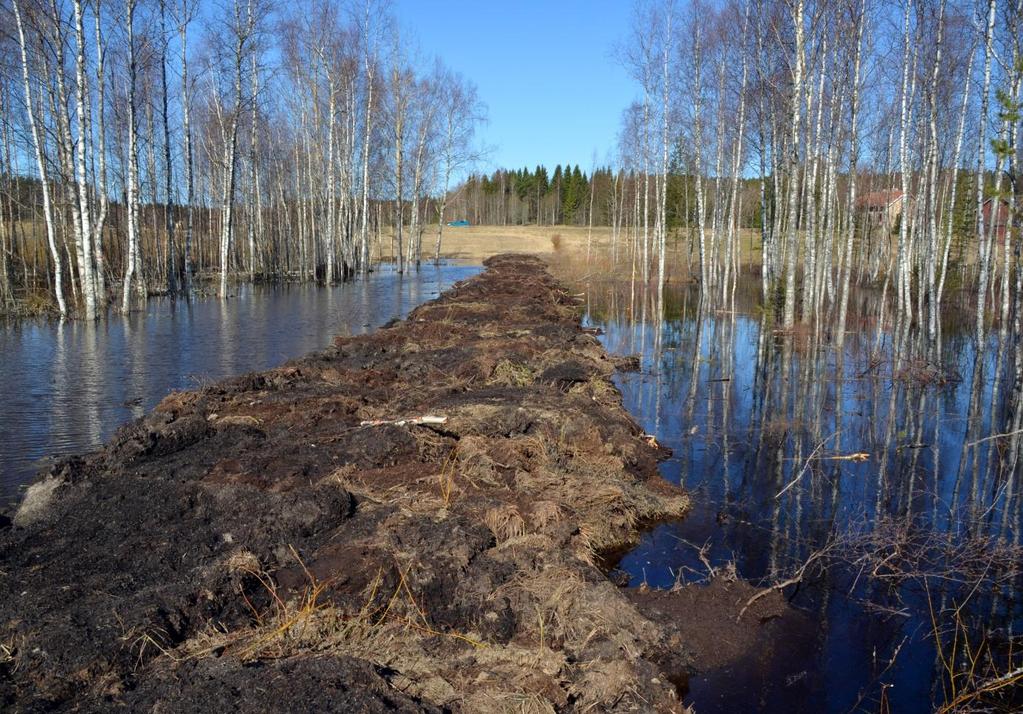 37 Kuva 23. Vanhasta järven pohjasta rakennettu pato elää erityisen paljon rakentamisen jälkeen ja sen kuntoa tulee seurata säännöllisesti, jotta havaitaan mahdolliset vuodot.