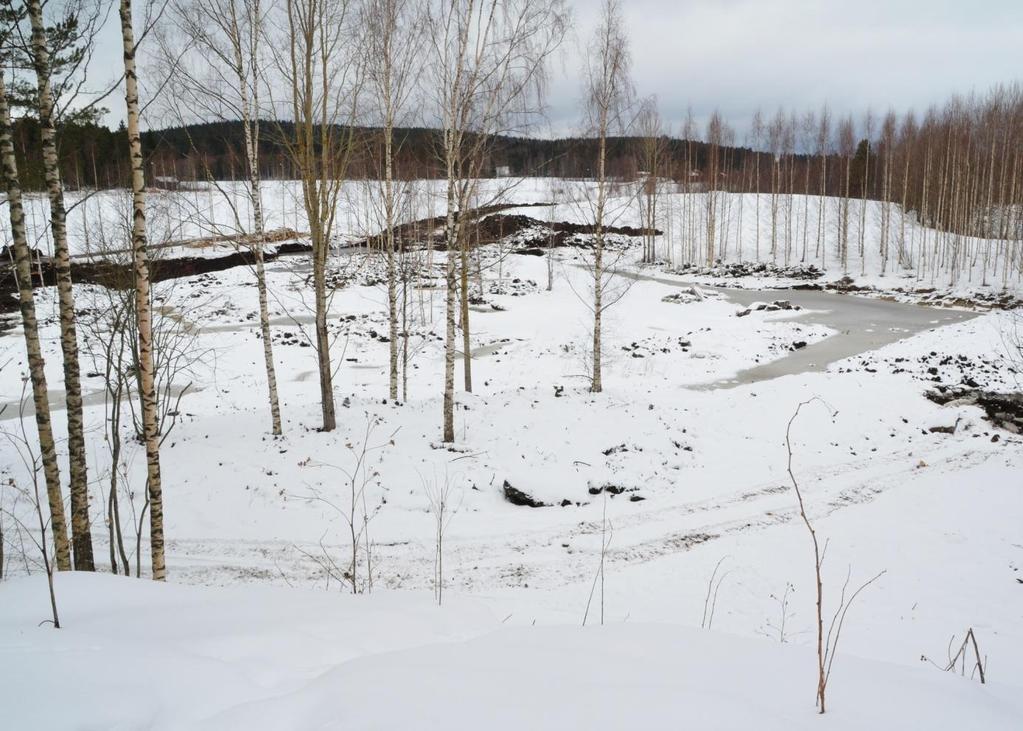 43 7 KOSTEIKON MAISEMANMUUTOS Kosteikon maiseman muutosta on seurattu valokuvaamalla eteläistä kosteikkoa näköalapaikalta.