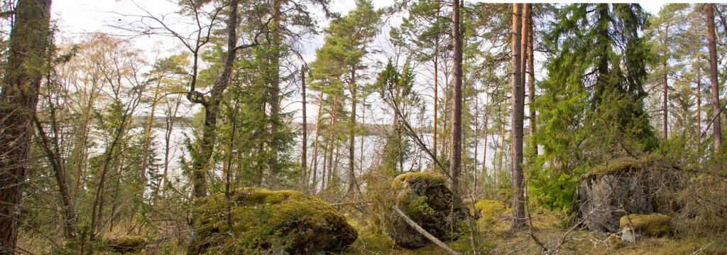 Alueen länsiosa on topografialtaan jyrkkää.