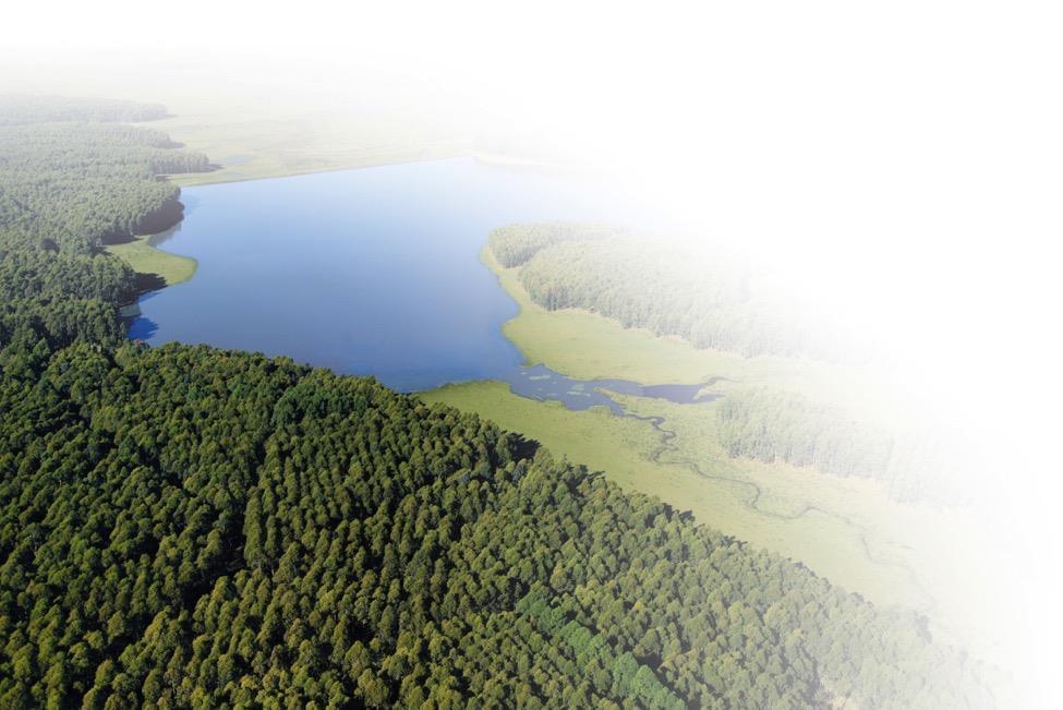 Puunhankinta ja metsätalous Puunhankinta, metsän- ja maanomistajapalvelut 20 000 puukauppaa vuodessa yksityismetsänomistajien kanssa Suomessa 78 %