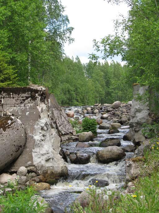 Kuva 17. Hammonjoki on viimeinen Vesijärveen laskeva lohikalojen lisääntymiseen soveltuva joki. Koveroistenkoski on kunnostettu poistamalla patorakenteita ja rakentamalla kalatie.