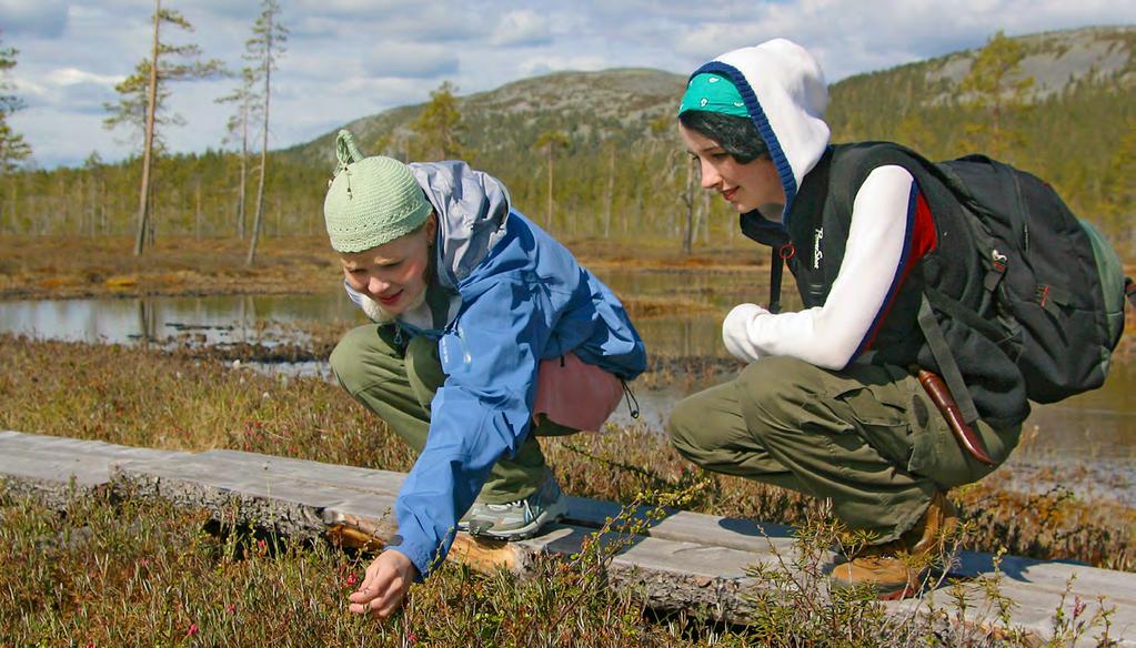 Metsähallituksen Luontopalvelut www.metsa.fi/luontopalvelut Tietoa Metsähallituksen Luontopalvelujen työstä TERVEYTTÄ LUONNOSTA Luontoretkillä stressi vähenee, kunto kohenee ja mieliala nousee.