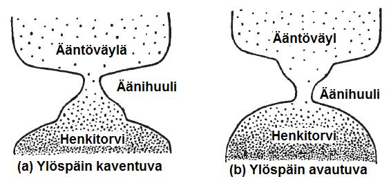 37 7.3 Äännön kynnyspaine Äännön kynnyspaineella tarkoitetaan sitä keuhkojen painetta, joka tarvitaan äänihuulivärähtelyn käynnistämiseen.