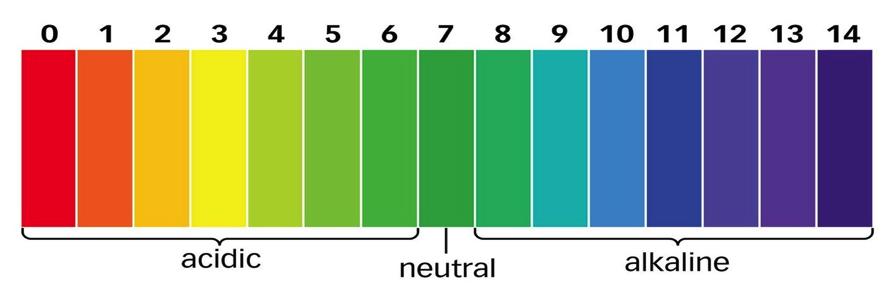 ph-dieetti on myös myytti, joka ei vain kuole millään 7.35-7.45 Dieetin vaikutus 0.02-0.04 4.5-8.0 Schwalfenberg GK. The Alkaline Diet: Is There Evidence That an Alkaline ph Diet Benefits Health?