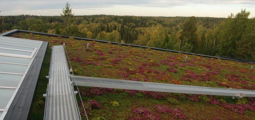 viherkatoilla, tarkoitetaan kasvillisuudella peitettyä kattopintaa, joka pidättää ja suodattaa vettä.