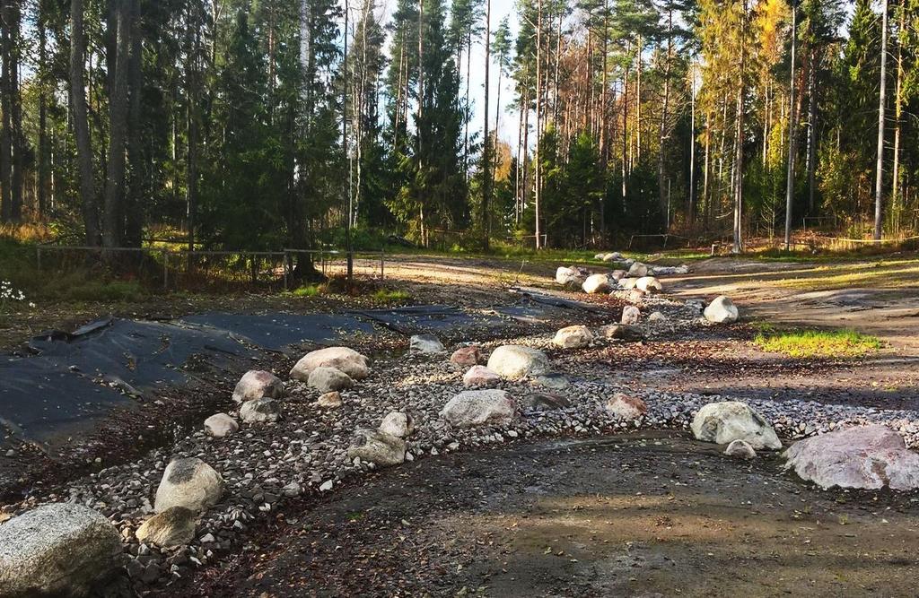 Kuva 17.Hulevesiä kuljettavia painanteita Helen Schjerfbeckin puistossa. Kuva: Satu Tyynilä 3.