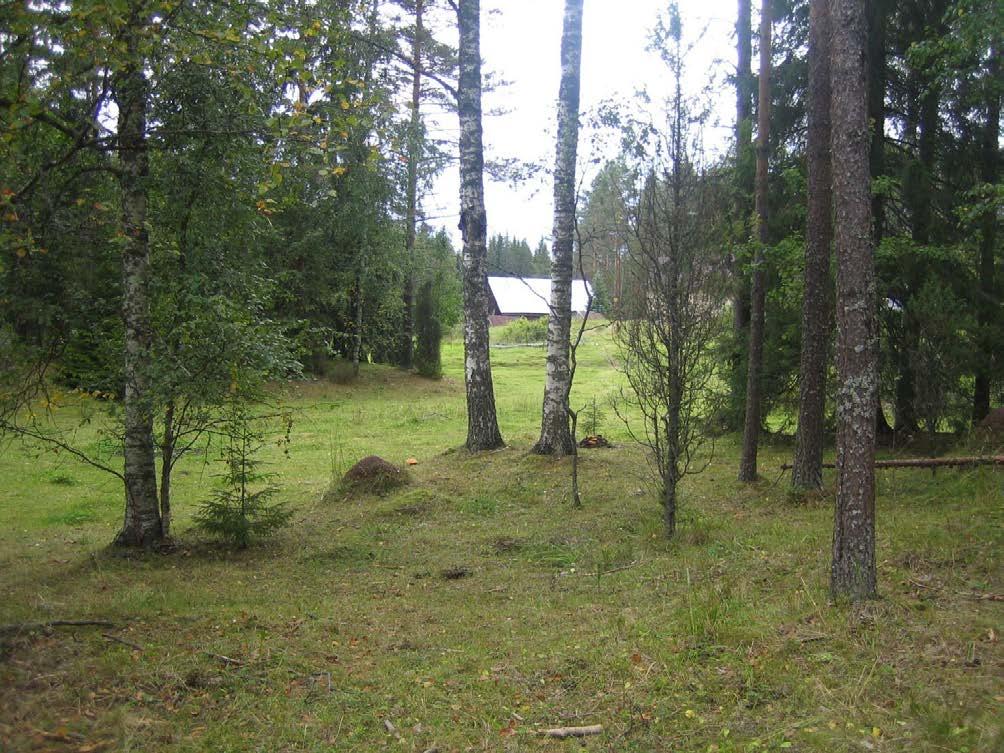 16 metsälajit. Mustajärven entisillä hakamailla ja metsälaitumilla esiintyy edelleenkin runsaasti lajeja, jotka ilmentävät metsien pitkäaikaista laidunkäyttöä. Kuva 6.