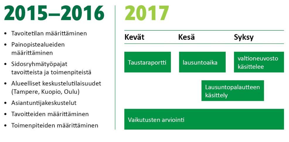 Tärkeimmät valintaperusteet painopisteille olivat: 1.