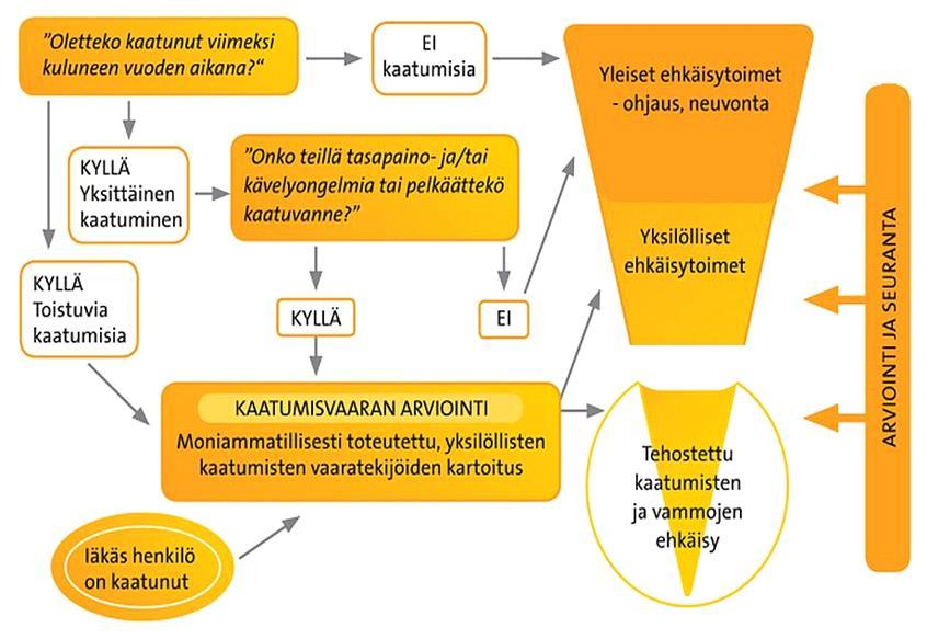 10 ammattilainen arvioi kysymysten perusteella mahdollisien joko yleisten tai yksilöllisten ehkäisytoimien tarvetta iäkkään vastausten perusteella.