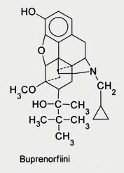 Buprenorfiini n oripaviinijohdos n käytetään sublinguaalisesti, parenteraalisesti tai transdermaalisesti n korkea affiniteetti opioidireseptoreihin, osittainen agonisti-vaikutus µ-reseptoreissa,