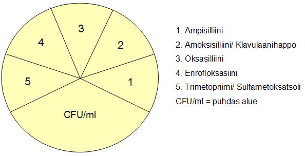 16 aloitus nopeutuu. Maljan käyttöönoton tarkoituksena on vähentää eläinten turhia antibioottilääkityksiä ja nopeuttaa diagnoosiprosessia. (Rasmussen ym. 2015.) Kuvio 6. Flexicult Vet -malja.