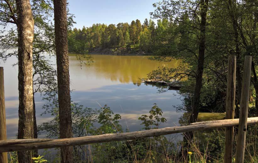 Luonnossa liikkuessa ihmisen on hyvä kuunnella itseään. Siellä voi vain rentoutua ja unohtaa tai muistaa.