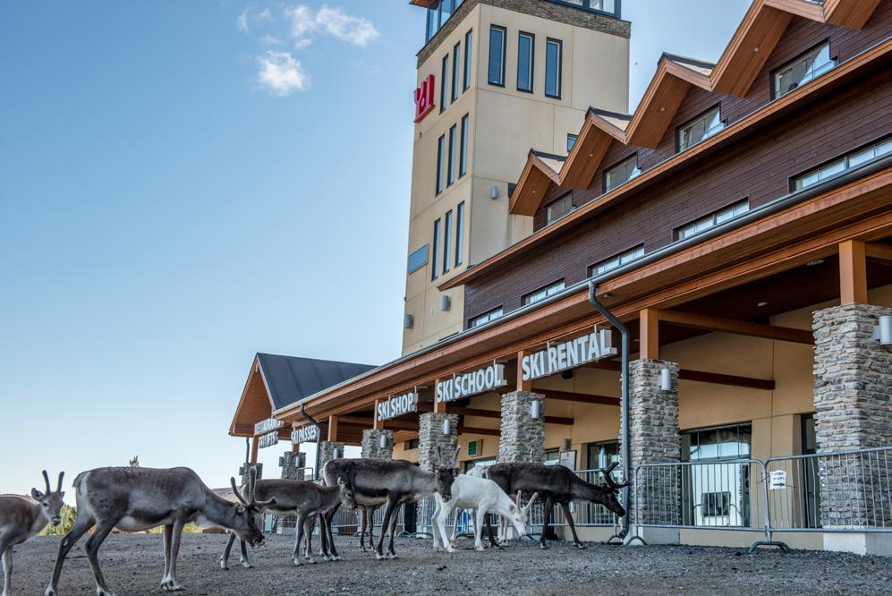 Liike-elämän palvelut Ammatillinen, tieteellinen ja tekninen toiminta; Hallinto- ja tukipalvelutoiminta (sis.