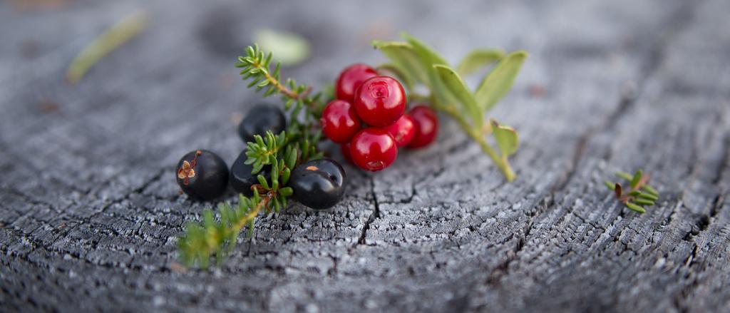 Joiltain osin täydentävinä tietoina on käytetty muita Tilastokeskuksen tuottamia tuoreimpia tilastotietoja.