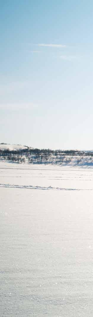 Ammattikorkeakoulut Yrkeshögskolan Arcada Centria ammattikorkeakoulu Diakonia-ammattikorkeakoulu HAAGA-HELIA ammattikorkeakoulu Humanistinen ammattikorkeakoulu Hämeen ammattikorkeakoulu Jyväskylän