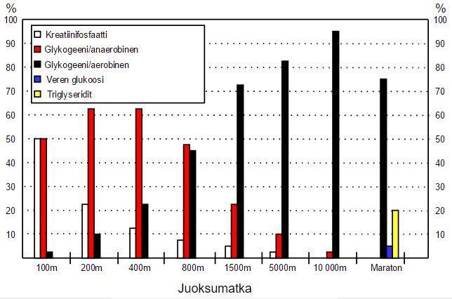 vasta n. 2 tunnin suorittamisen jälkeen. (Mero A ym. 1997, 108-110.) Kestävyysharjoittelu usein painottuukin ainakin osittain aerobiseen energiantuottoon (Kuvio 6).