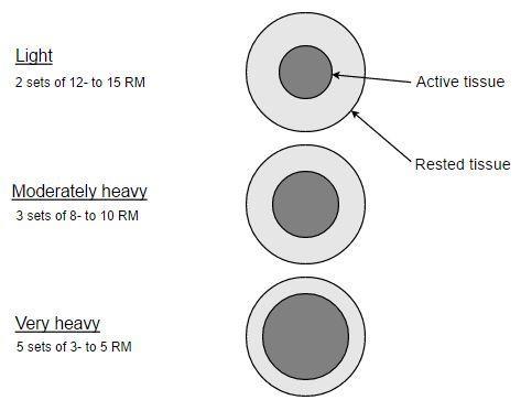 Kuvio 16. Kudoksen kuormittuminen on riippuvainen kuorman suuruudesta ja harjoituksen volyymista (sovellettu Kraemer & Fleck 207, 88) 4.