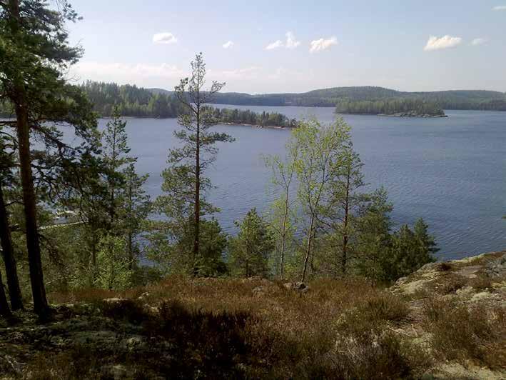 Juvan kunnan omistama Karihiekka Luonterilla on yksi geokohde tulevassa Saimaan Geoparkissa.