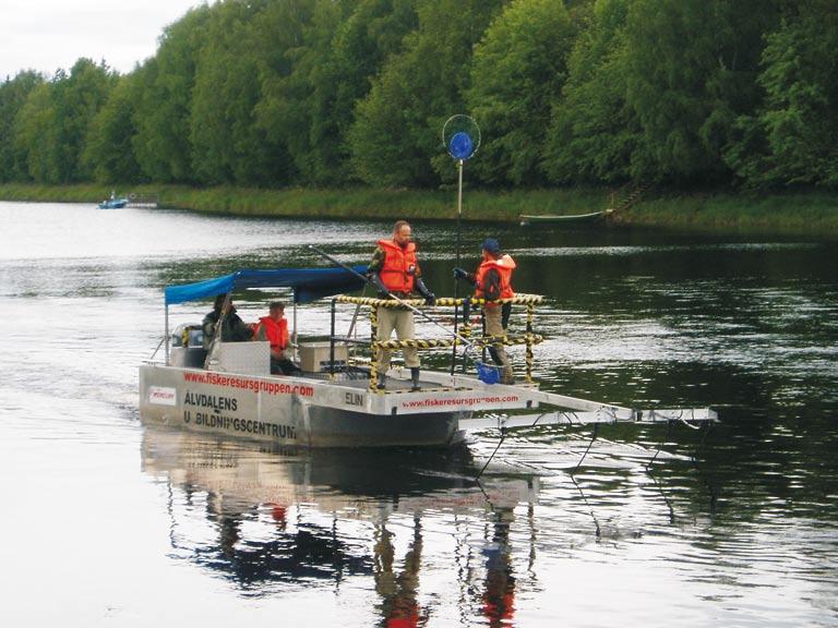 Kuva 5.4. Sähkökalastuslautta Oulujoen pääuoman tutkimuksissa Laukan alueella. Kuva: E. Laajala. 1999; Jokikokko ja Jutila 2004) perustuen.