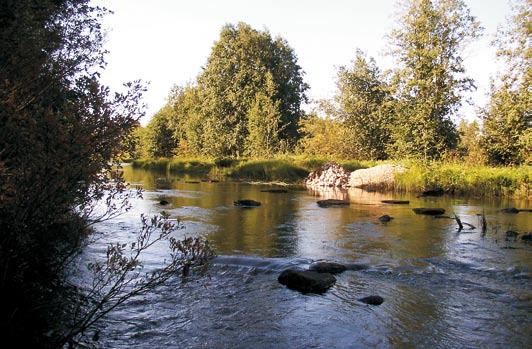 Kutujoen kunnostukset tehtiin vuosina 2006 ja 2007. Kunnostuksilla kasvatettiin koskien vesitilavuutta monipuolistamalla uoman rakennetta.