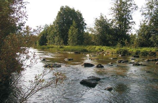 (kuvat 6.9 ja 6.10). Koskia kivettiin ja kutualueita parannettiin soraistuksilla.