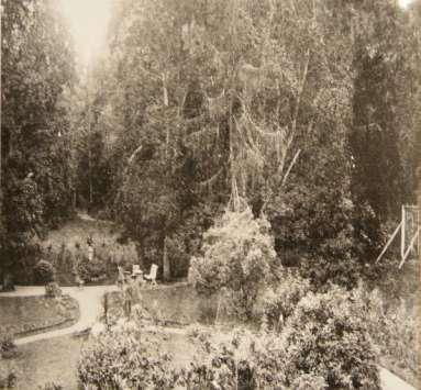 Gammelbacka oli suurtila 1930-luvulla. Sen pinta-ala oli reilut 400 ha, josta peltoa oli 200 ha. Hevosia oli 25 ja lehmiä 80.