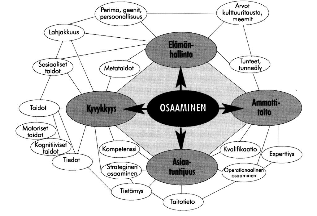 10 osaaminen, sekä myös persoonallisia ominaisuuksia kuten lahjakkuus, tunneäly ja arvot. (Helakorpi 2005, 55-56.) Kuvio 2.