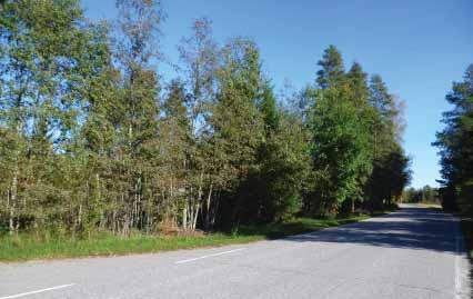3.1.5 Liikenne Pursunjärven kyläjakso Liikenneturvallisuustilanne poliisin tietoon tulleiden onnettomuuksien suhteen ei ole huono, onnettomuuksia ei ole kirjattu viimeisen viiden vuoden aikana.