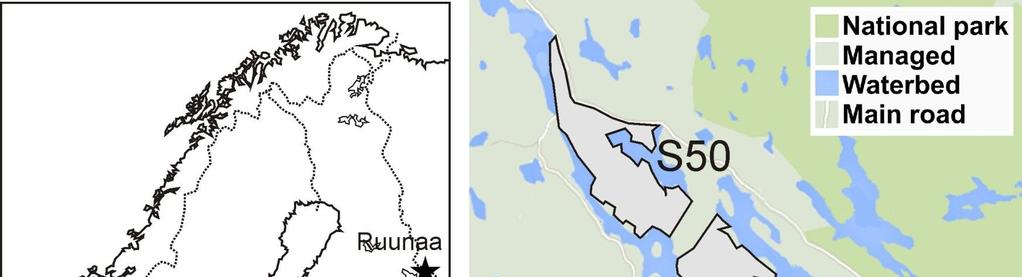 Metsän jakautuminen käsittelytavan ja