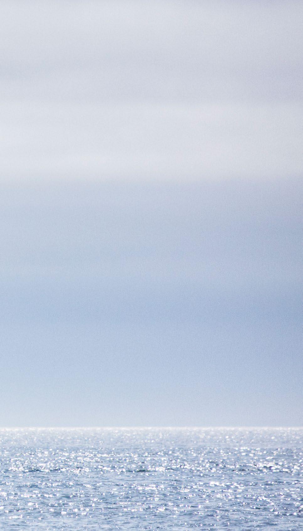 Siirtymäsäännöt ja käyttöönotto IFRS 16 -standardia on sovellettava 1.1.2019 tai sen jälkeen alkavilla tilikausilla.