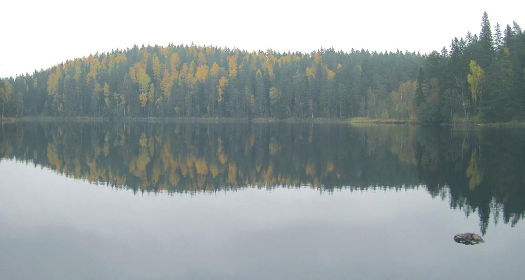 KARRI JUTILA Hiljaa hyvää Hiljan päivää seuranneena lauantaina 2010 järjesti Etelä-Hämeen luonnonsuojelupiiri retken Lammin Evolla mahdollisimman etäälle liikenteen melusta.