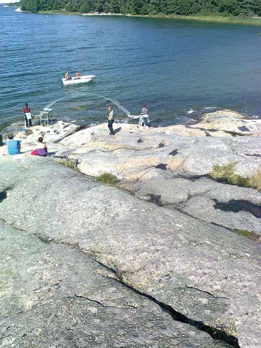 Siloneula, rasvakalan poikanen ja vaskikala ovat harvemmin