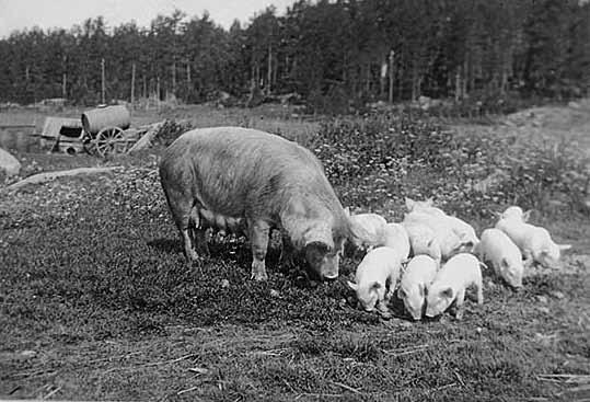 Tällä tietoisuudella on nähdäkseni erittäin tärkeä merkitys ihmisten keskinäisissä suhteissa, koska se koskettaa olemassaolon perusteita.