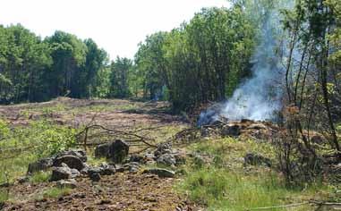 Vanhaa niitty- ja laidunaluetta Metsäntutkimuslaitoksen koealueen tuntumassa vanhan sairaalan luoteispuolella palautetaan 1800-lukuiseen asuunsa kaskeamalla kesäkuussa 2009.