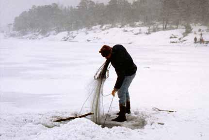 Seilin pitkäaikainen kenttämestari Juha-Pekka Oksa (1956 2014)