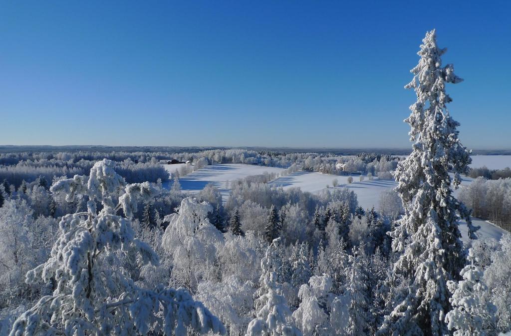 KIITOS!