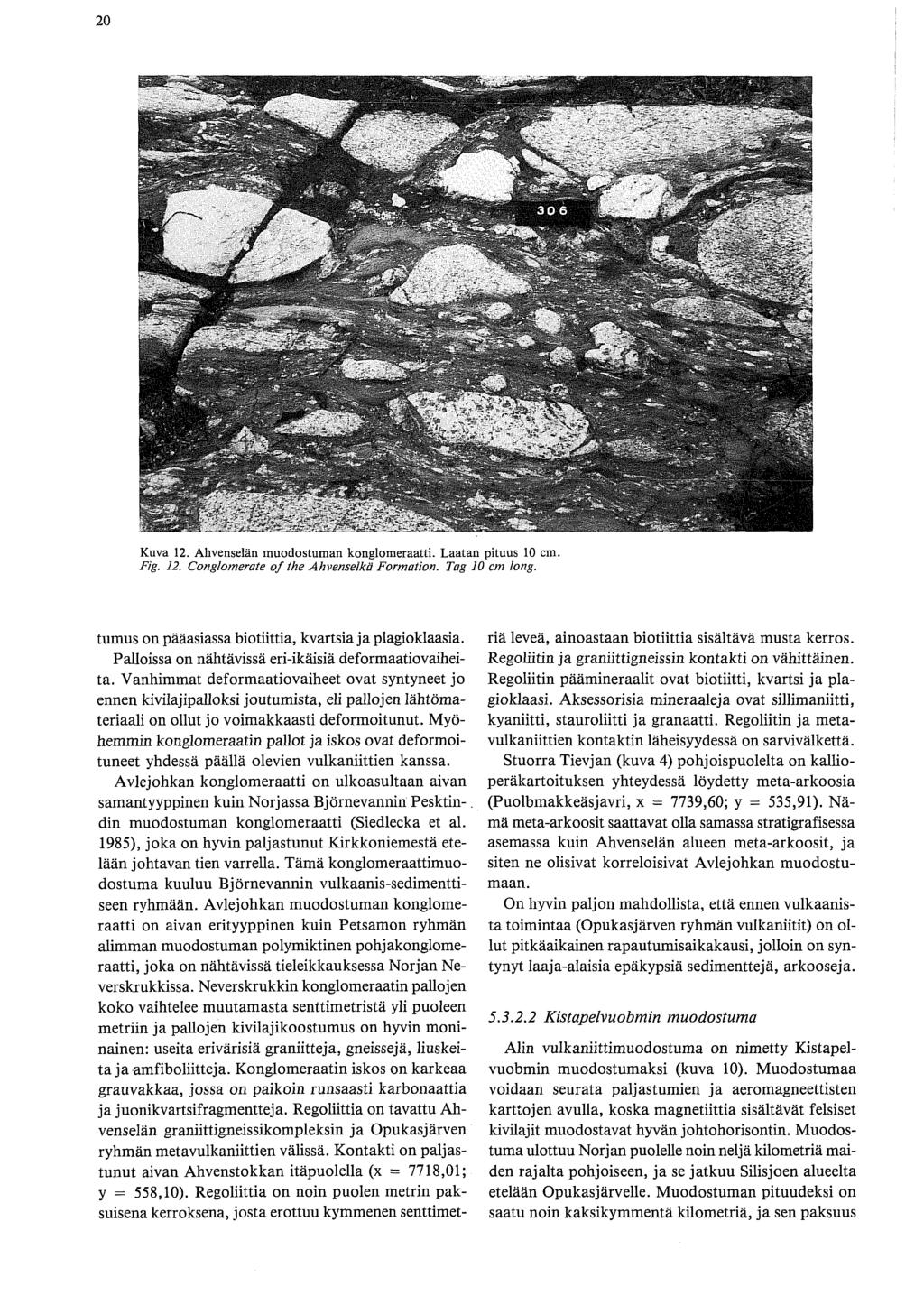 Kuva 12. Ahvenselan muodostuman konglomeraatti. Laatan pituus 10 cm. Fig. 12. Conglomerute of the Ahvenselkä Formation. Tug 10 cm long. tumus on pääasiassa biotiittia, kvartsia ja plagioklaasia.