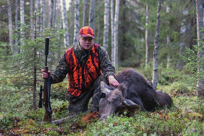 4 Saaliseläimen kunnioittaminen Jos kaadettu eläin on edelleen hengissä, lopeta se ampumalla lopetuslaukaus niskaan heti, kun se koiran turvallisuus huomioiden on mahdollista.