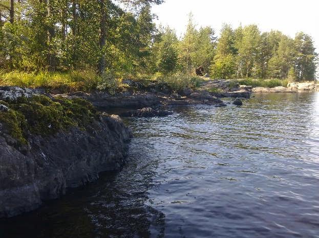 päällyslevästön seurantaan kehitettyä piilevämenetelmää, joka on