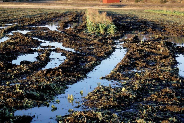 lohkoilla suurempi osa valunnasta on pintavaluntaa, tasaisemmilla lohkoilla taas salaojava- - valunnan osuus koko vuoden valunnasta kasvaa - toisuuksia tuleekin alentaa valuntatavasta riip- - ei