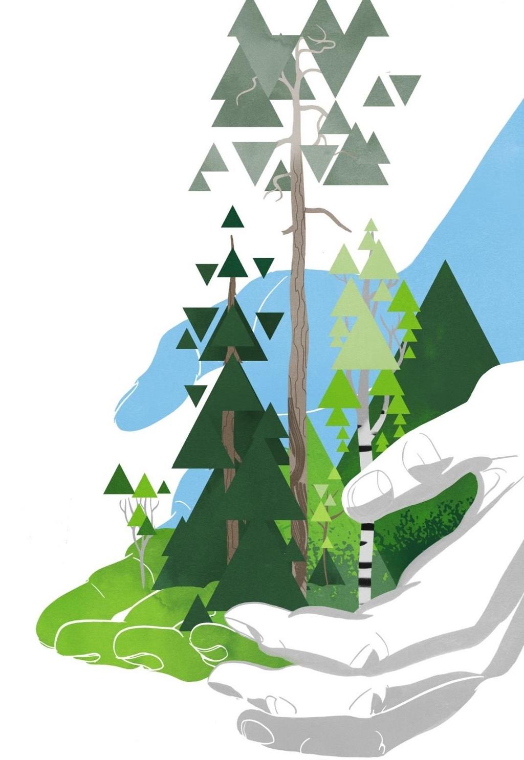 Metsäbiotalouden toimialat Kymenlaaksossa Massa- ja paperiteollisuus on ylivoimaisesti merkittävin metsäbiotalouden toimiala.