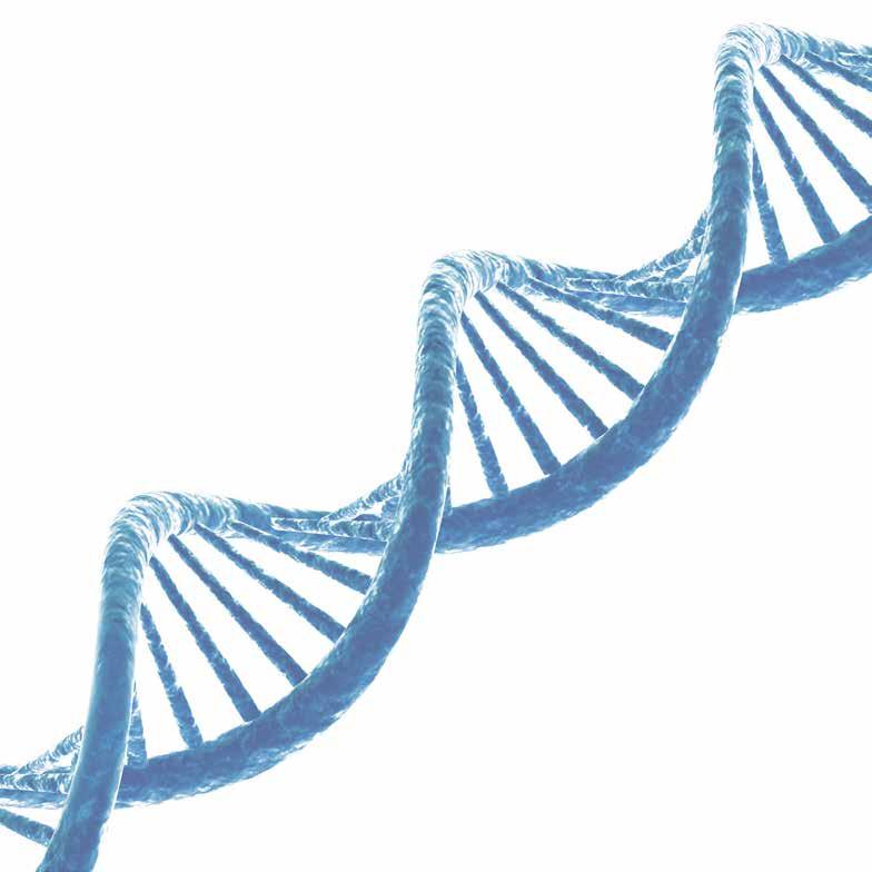 TEEMANA MIKROBIOLOGIA Kansainvälinen tutkijaryhmä on löytänyt uuden, sekä bakteereille että ihmisille mutaatioita aiheuttavan korvautumismekanismin, jonka seurauksena lyhyen DNA-pätkän alueelle voi