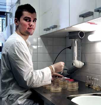 Laboratorioanalyytikko Henri Hakala valmistelemassa materiaalinäytteitä laimennosviljelymenetelmällä. >> vauriosta, viite vauriosta tai vahva viite vauriosta.