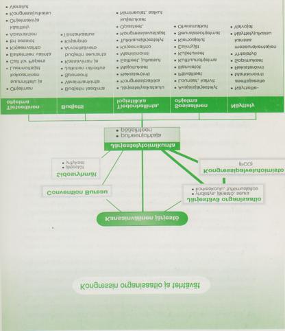 Kuviosta 5 näkyy tiivistetysti mitä kuuluu kongressin organisaatioon ja tehtäviin.