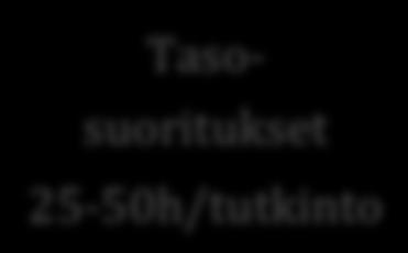 tutkinto Konsertit 5-10h/